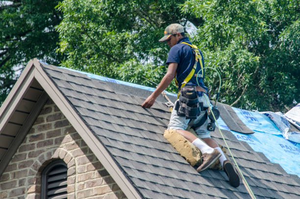 Roof Waterproofing Services in Santa Maria, CA